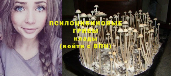 марки nbome Новодвинск