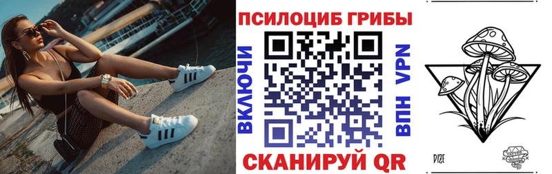 цены   Красногорск  Псилоцибиновые грибы MAGIC MUSHROOMS 