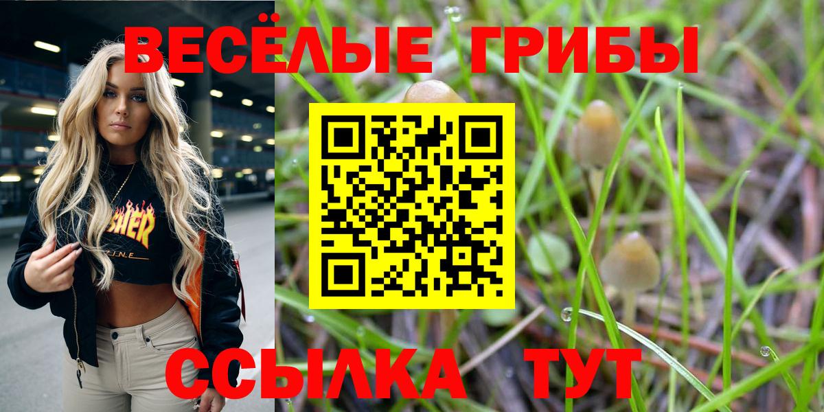Красногорск  Галлюциногенные грибы Psilocybine cubensis  Псилоцибиновые грибы прущие грибы  Вход с VPN 